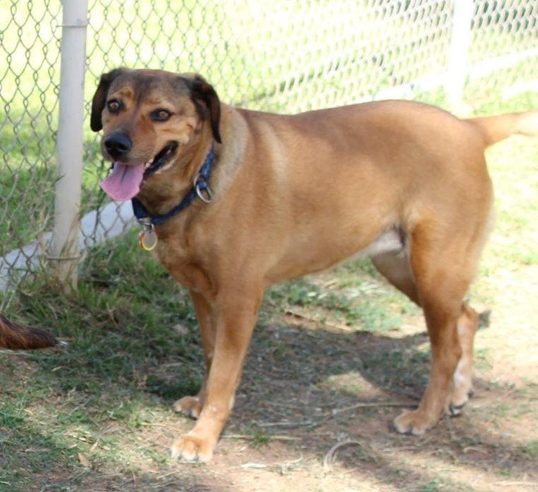 Adopt a friend: Hope